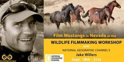4 Day Wildlife Filmmaking Workshop - Mustangs, with Nat Geo's Jake Willers