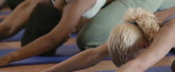 4 Week Beginner Yoga Series