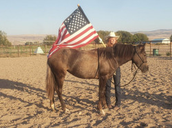 4-h Trained Blm Mustang Adoption, Sat. 9/3 11:30am, Eisf Grandstand Arena
