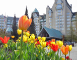 55+ Spring Celebration at Fairmont Chateau Whister (Apr 10-13, 2017)