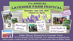 7th Annual Indigo Blooms Botanicals Lavender Festival - July 13th, 2024 - Elizabeth, Co