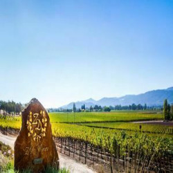 A Toast to Friends that are Family with Humble Bistro and Zd Wines