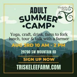 Adult Summer Camp