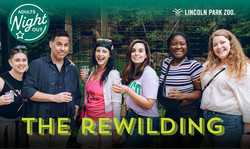 Adults Night Out: The Rewilding at Lincoln Park Zoo