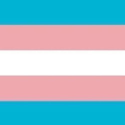 After Dark Online: Transgender Day of Visibility