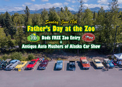 Alaska Zoo Father's Day Free plus Antique Auto Mushers of Alaska Car Show