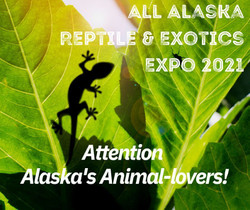 All Alaska Reptile and Exotics Expo 2021