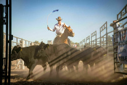 Arizona National Livestock show