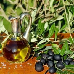 Art and the Olive Grove: An Olive Oil Tasting Event at the Cahoon Museum of American Art