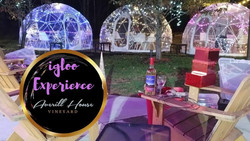 Averill House Vineyard Unveils Food and Wine Pairing: Vine to Wine inclusive igloo