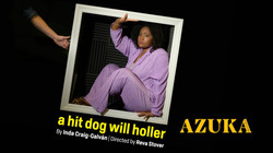 Azuka Theatre presents "a hit dog will holler"