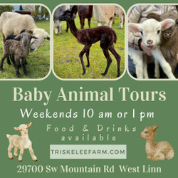 Baby Animal Tour