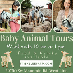 Baby Animal Tours