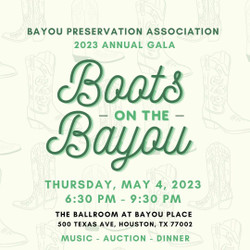 Bayou Preservation Association's Boots on the Bayou Gala