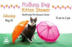 Best Friends Mothers Day Kitten Shower
