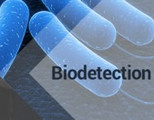 Biodetection and Biosensors