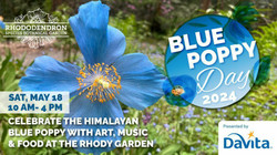 Blue Poppy Day at the Rhody Garden