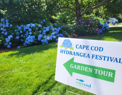Cape Cod Hydrangea Festival