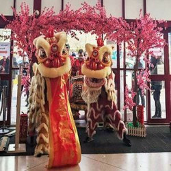 Celebrate Chinese New Year with Exciting Lion Dance Performance at Colindale on 18 Feb 2024!