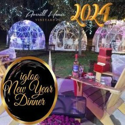Celebrate New Year's Eve 2024 at Averill House Vineyard! Brazilian themed Dinner and Wine Pairing.