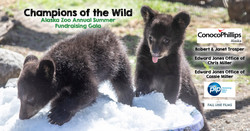 Champions of the Wild Alaska Zoo Gala