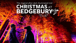 Christmas at Bedgebury, Bedgebury National Pinetum : Nov 21 - Jan 22