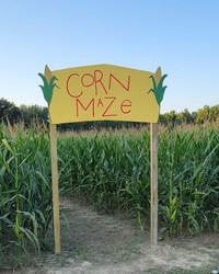 Corn Maze, Sunflowers and More at The Cottage Labor Day Weekend