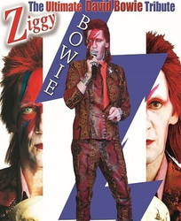 David Bowie tribute Dinner & Show
