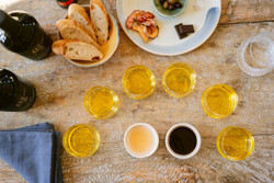Deluxe Organic Olive Oil Exploration Tasting and Farm Experience