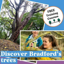 Discovering Woodland - free half day course