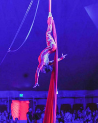 Do Portugal Circus is coming to Milford , Ct from September 22nd - October 1st