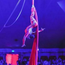 Do Portugal Circus is coming to Milford ! September 22nd - October 1st
