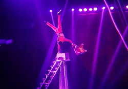 Do Portugal Circus is coming to town! Richmond, Va