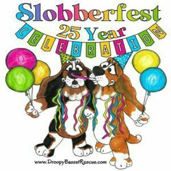 Droopy Basset Hound Rescue "Slobberfest 2024"