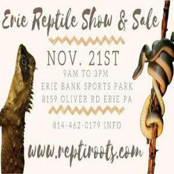Erie Reptile Expo Nov 21st 2021