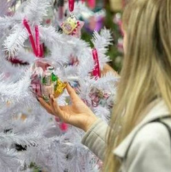 Essex Festive Gift And Food Show 2021