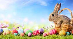 Free Easter Egg hunt in the Brecon Beacons