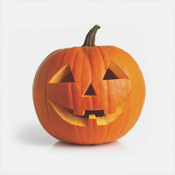 Free Family Fun - Halloween Trick-or-Treat