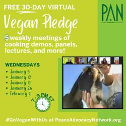 Free Virtual Vegan Pledge, Winter (January)