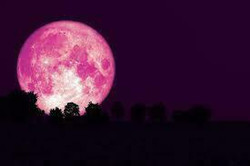 Full Moon Evening of Clairvoyance with Tv Psychic Medium Julie Angel
