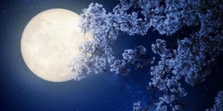 Full Moon Ritual and Meditation