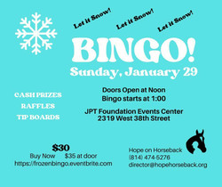 Fun and Frozen Bingo