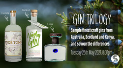 Gin Trilogy - Taste Finest Craft Gins from 3 Different Countries