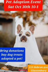 Halloween Pet Adoption to benefit Ct.Pregnant Dogs and Cats and their new shelter!