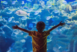 Homeschool Week at Sea Life Michigan Aquarium