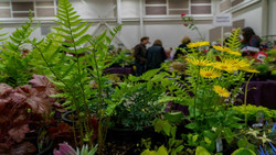 Hortlandia -- Plant and Garden Art Sale