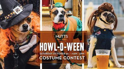Howl-o-ween Costume Contest (Dallas)