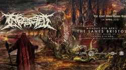 Ingested + Support