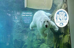 International Polar Bear Day at the Alaska Zoo