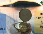 International Sap Conference for Treasury Management
